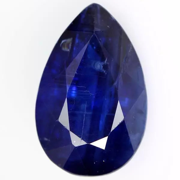 Siren's Echo
