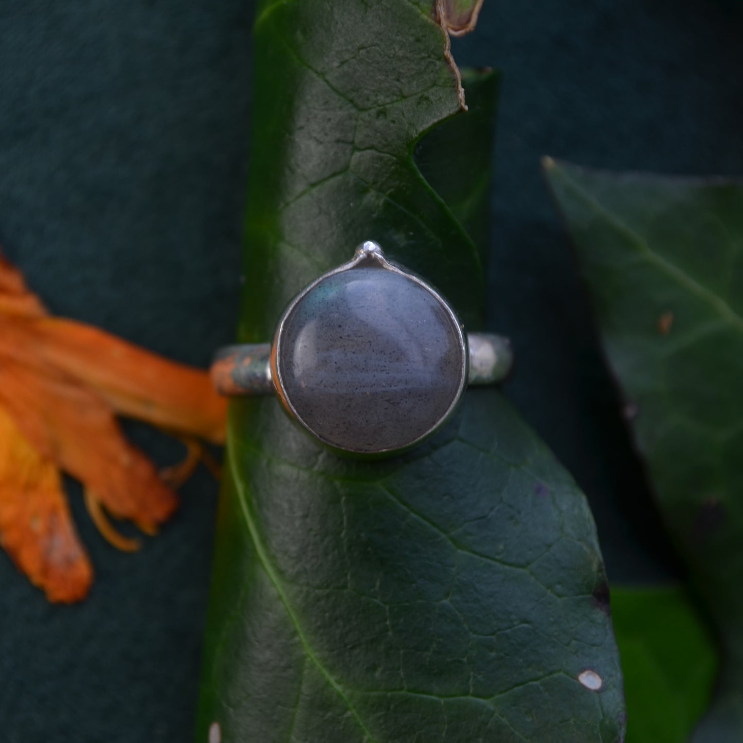 Smoky labradorite ring