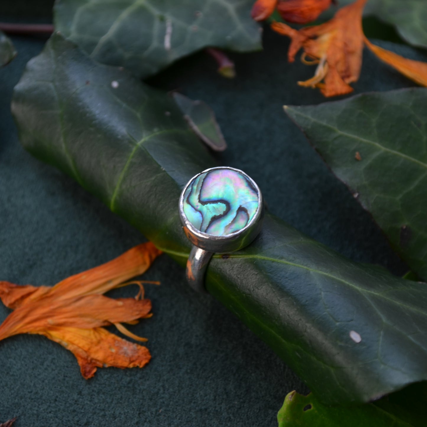 Abalone ring