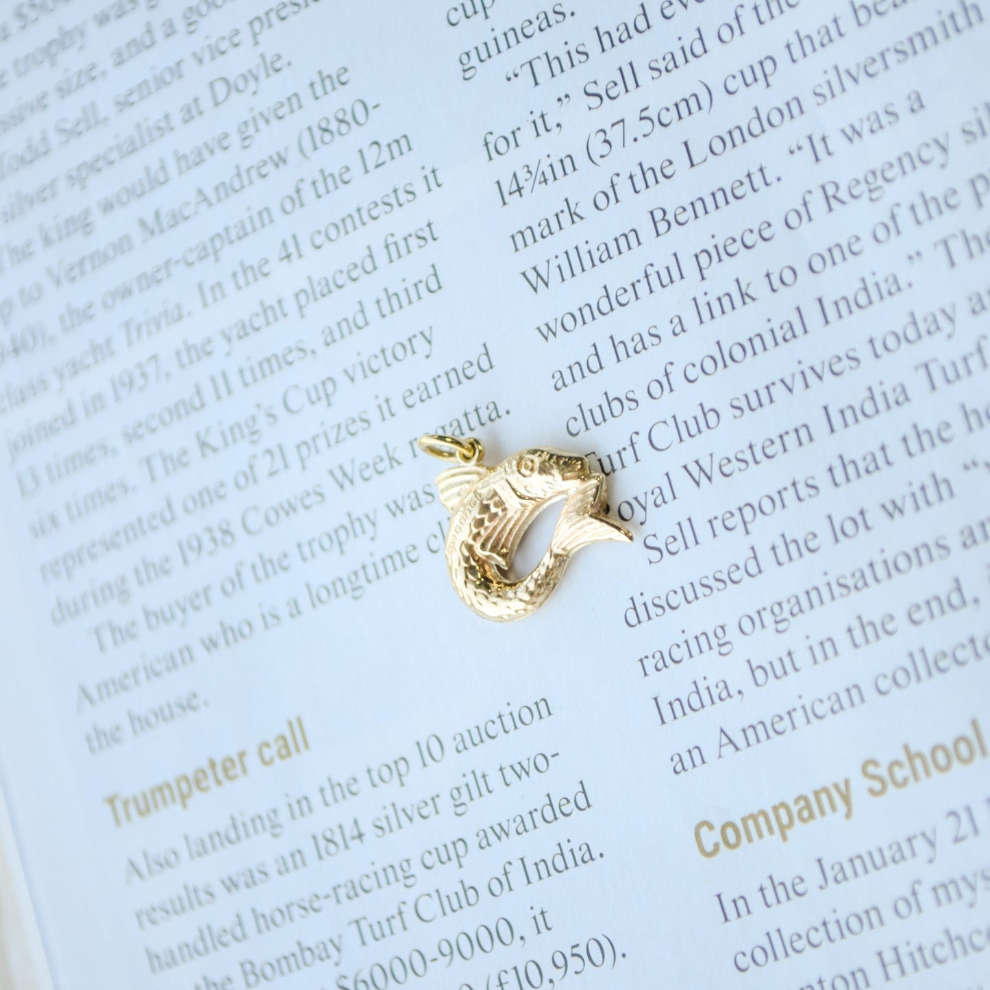Salmon of knowlege fish pendant 9ct gold