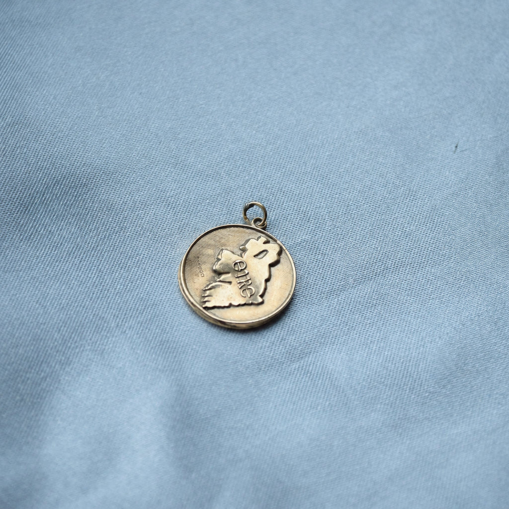 Lucky Eire coin pendant